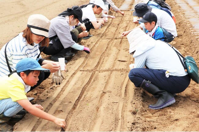 野菜とともに育てる心　伊勢崎市「みんなの畑」家族で農業体験　4月26日（土）〔群馬〕