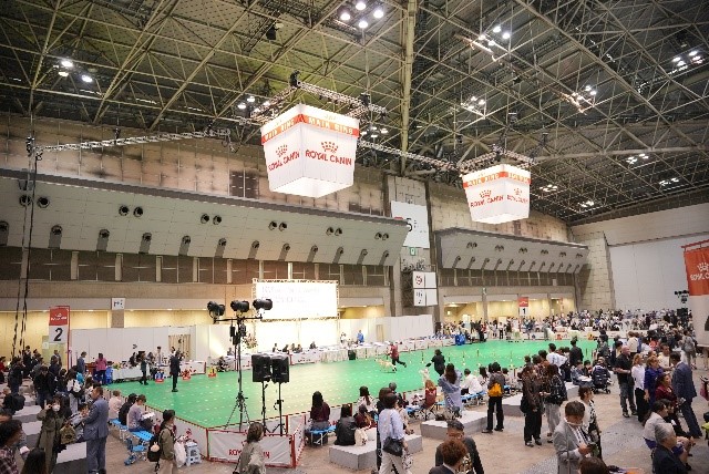 ロイヤルカナン、ドックショー協賛を通じ専門家支援と犬の健康美の向上に貢献「ロイヤルカナン・カップ2025 / JKCサクラ・アニュアル・ショー2025」