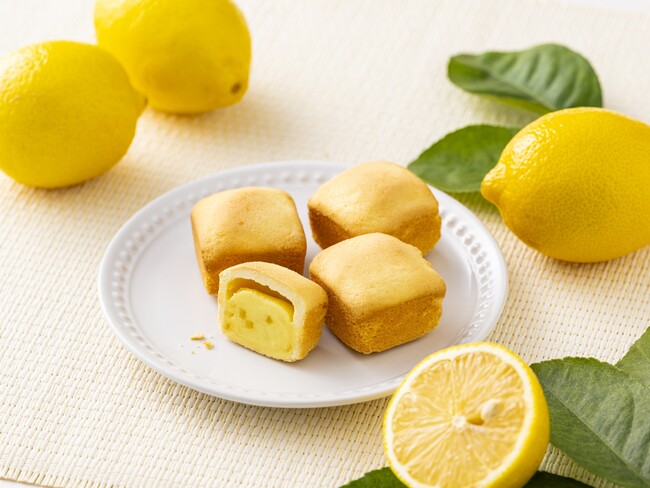 洋菓子の街「神戸」からのおくりもの、『神戸ベイクドチーズ ~レモン~』が新登場!