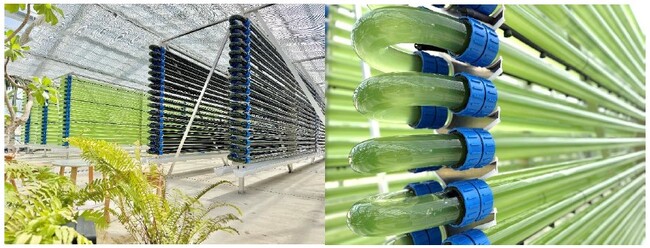 自然の力を科学し価値創造を加速 『フィトサイエンス構想』始動