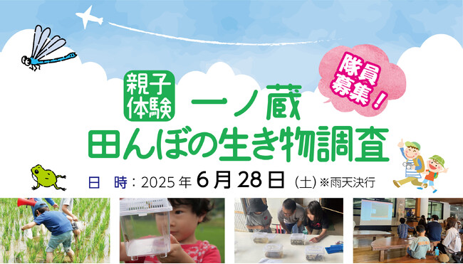 親子体験!一ノ蔵 田んぼの生き物調査 隊員募集♪