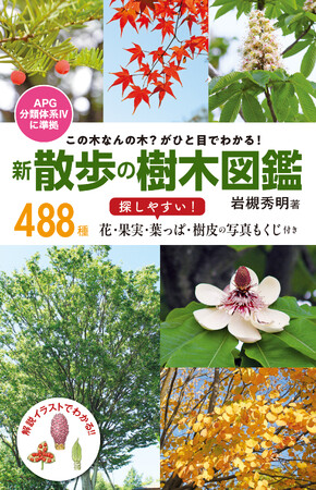 【新刊】新緑の季節にぴったり！488種もの樹木を掲載したハンディ図鑑『新 散歩の樹木図鑑』好評発売中！