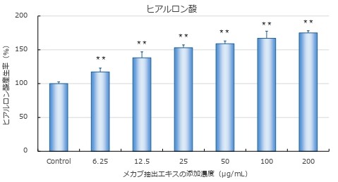 ヴェントゥーノの化粧品原料「メカブ抽出エキス」が、細胞試験において、ヒアルロン酸とエラスチンの産生を促進することが明らかになりました！