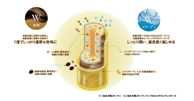 高岡早紀さん起用「サロン ド プロ」新CM 4月20日(日)より全国にて放映開始!
