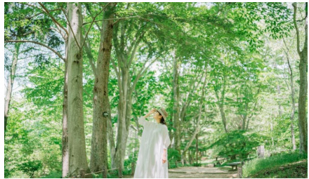 【六甲高山植物園】5月4日（日）は「みどりの日」新緑が見頃です