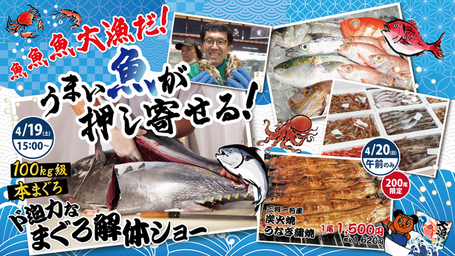 魚魚魚！綿半魚類一宮漁港平島店１周年祭特別企画　4/19は超ド級！100kg級「本まぐろ解体ショー」 過去最大サイズの本マグロを解体！即売します！4/20はうなぎの炭火焼を 200 匹限定販売します！
