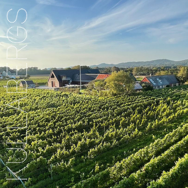 三つ星・スウェーデンワイナリー「クラベリス・ヴィンゴード」の紹介ムービーを公開。リサ・ラーソンエチケットのワイン４種も発売中。