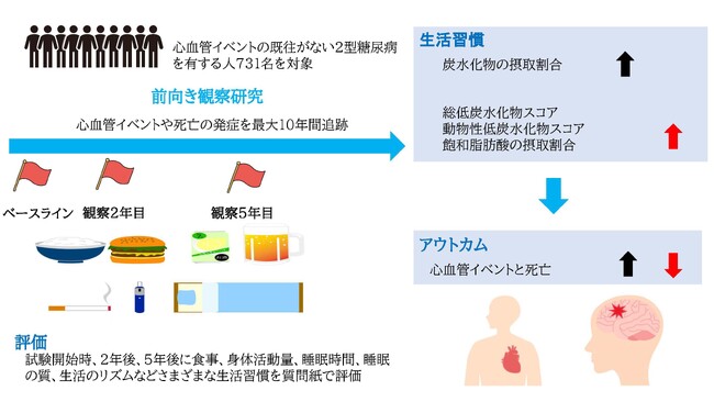 2型糖尿病を有する人の炭水化物摂取割合と予後の関連性が明らかに