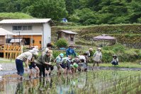 美肌菌が豊富なオーガニック農場で＜5/24(土)＞田植え体験＆キャンプ宿泊