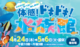 体感!ドキドキ!水族館 体感!ドキドキ!水族館