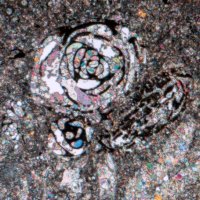 遠藤湖舟展2025『たゆたう光、ほどける時間(とき)』