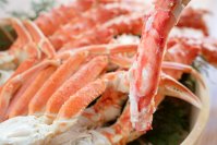 衝撃のかに食べ放題が5,780円(税込 6,358円)！？蟹まみれ TOKYO 池袋店が3月31日にグランドオープン！