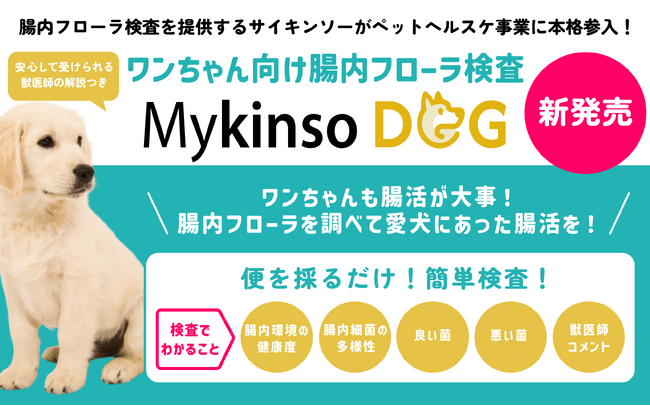 腸内フローラ検査を提供するサイキンソー　ワンちゃん向け腸内フローラ検査「Mykinso Dog」を開始し、ペットヘルスケア事業に本格参入