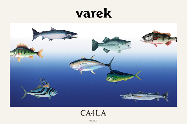 Varek × CA4LA