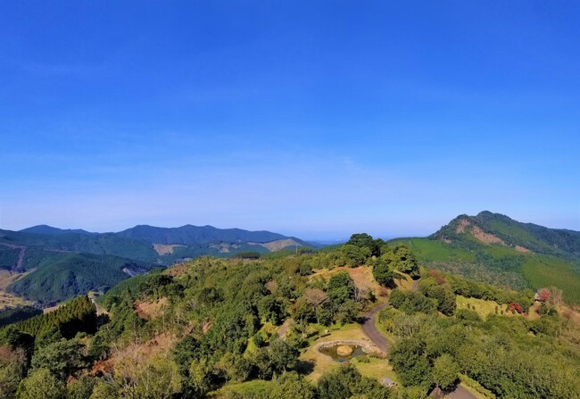 【宮崎市】椿山森林公園・椿山キャンプ場を活かそう！民間事業者の皆様へ！トライアル・サウンディング実施中！