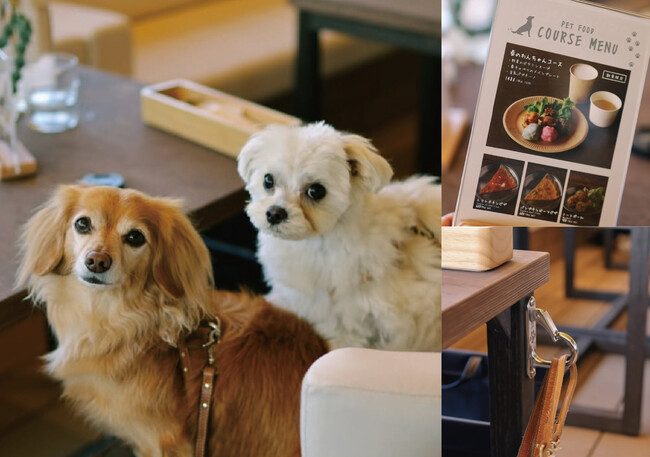 「愛犬と楽しめる」44APARTMENT多摩センターグランドオープン