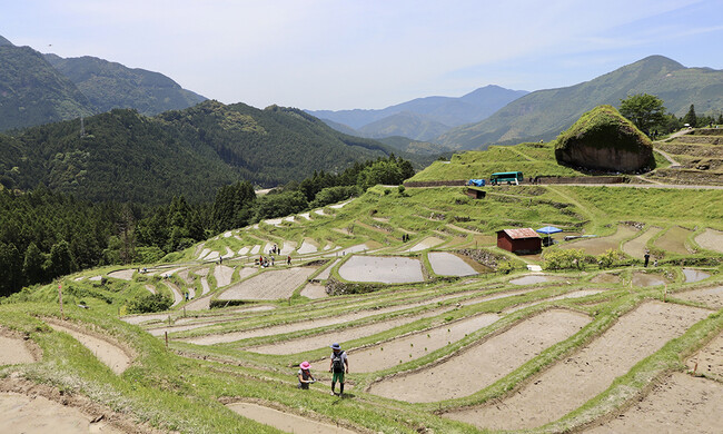 【フェアフィールド・バイ・マリオット 道の駅プロジェクト】三重県熊野市の棚田「丸山千枚田」の田植えの集いに参加！