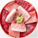 本まぐろトロ丼 本まぐろトロ丼