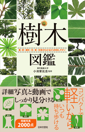 【葉・幹・樹形・花・実・冬芽】６つの部位で、一年中どんな季節でも樹木を見分けられるハンディ図鑑『樹木図鑑』好評発売中！