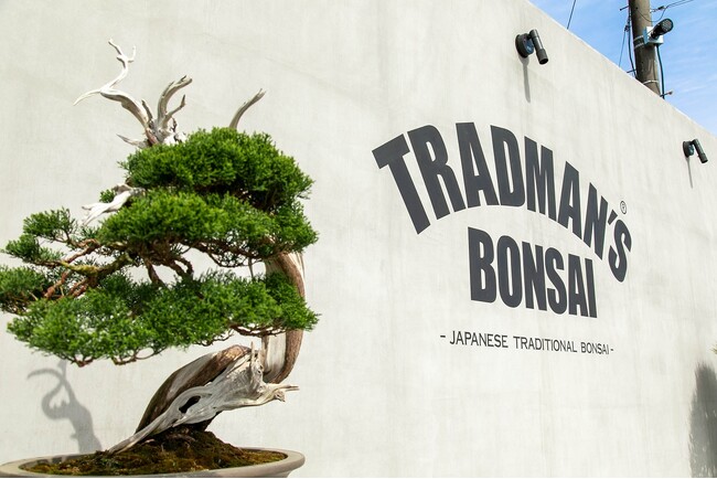 アートと自然が融合する、唯一無二の盆栽体験。「TRADMAN’S BONSAI」がバーニーズ　ニューヨーク六本木店に期間限定で初登場