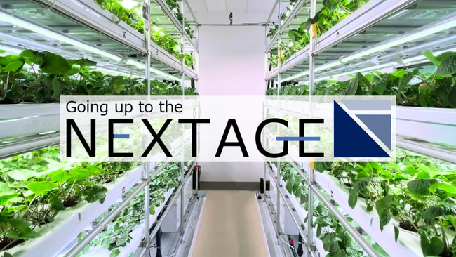 わさびの大規模植物工場での栽培技術開発を開始