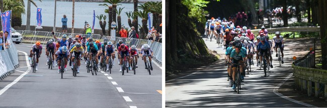 「TOUR de熊野（ツールド熊野）」と浦島観光ホテル株式会社が提携