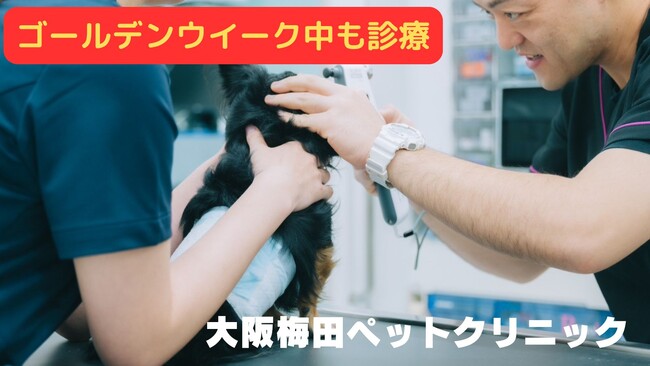 大阪梅田ペットクリニックはゴールデンウイークも診療!