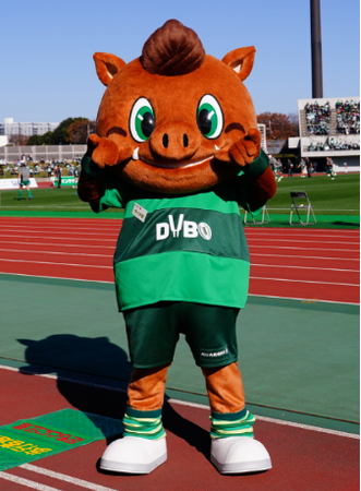 ラグビー全緑応援！県庁をダイナボアーズカラーにライトアップします！