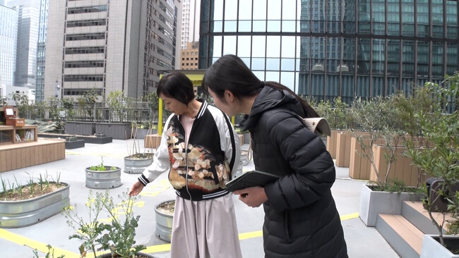 【ＢＳ日テレ】財前直見もびっくり！東京・大手町のビル屋上にある農園とは…？「なおみ農園」4月24日（木）よる10時放送
