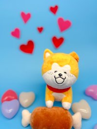 「秋田犬たれみみだいちゃんぬいぐるみ」発売記念グリーティングイベントを東京・渋谷にて4月25日より開催！