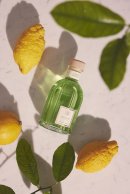 「LIMONE CEDRATO」 「LIMONE CEDRATO」