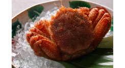 ＜4/21(月)スタート＞毛蟹と宮崎牛フィレステーキ【ザ・カハラ・ホテル＆リゾート 横浜】