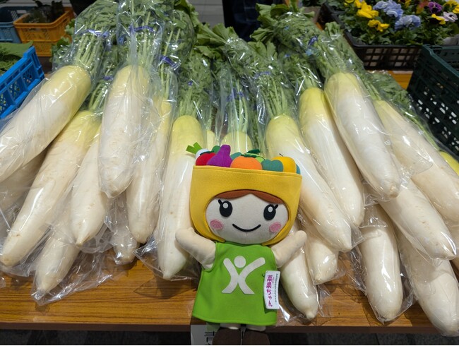 川崎市のブランド野菜『かわさきそだち』をカワサキKEIRINマルシェ「限定」の価格で！　2025年5月6日（火・祝）『カワサキKEIRINマルシェ』開催！