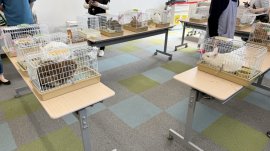 譲渡会の様子 譲渡会の様子