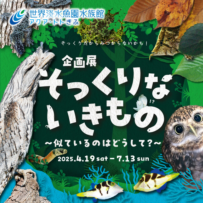 企画展『そっくりないきもの ～似ているのはどうして？～』を開催