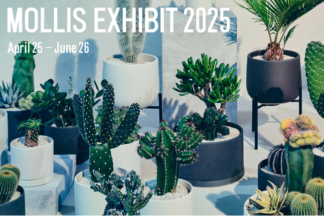 KINTO STORE Tokyo にて MOLLIS EXHIBIT 2025 を4月25日（金）より開催