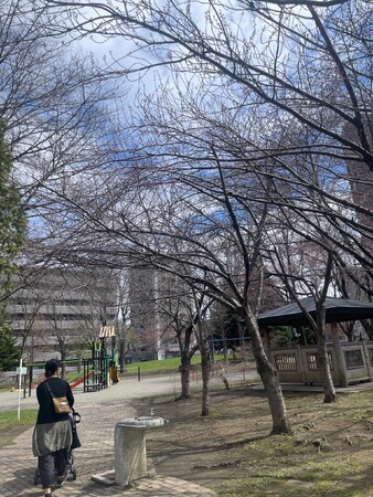 札幌・円山エリアに“看板のない保育園”が移転オープン