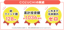 COZUCHIの実績 COZUCHIの実績