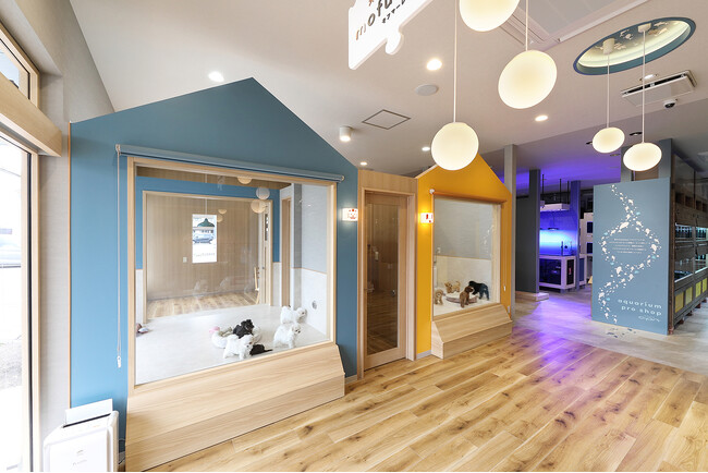アクアリウムのプロフェッショナル企業エーピーエヌ。岐阜県各務原市に新ブランドのペットショップ『mofumare（モフマーレ_）』をグランドオープン