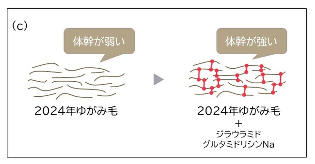 体幹が弱くなってしまった加齢性“ゆがみ毛”は、今まで以上に扱いにくい気まぐれ髪になっていた　～ジラウラミドグルタミドリシンＮａによる髪の質感向上により、まとまりがあり、芯のある美しさを実現！～