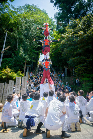 天高く人が連なる迫力の演舞・春の今治を彩る伝統芸能「継ぎ獅子」 5月の今治地方春祭りで披露!
