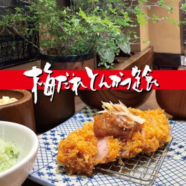 夏季限定「梅だれとんかつ定食」 夏季限定「梅だれとんかつ定食」