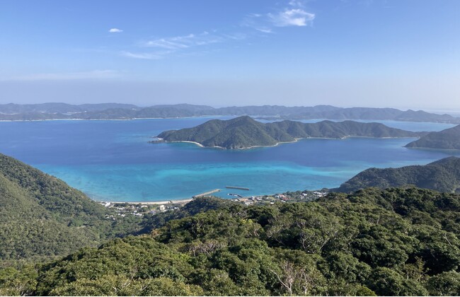 『SINRA』カーボンクレジット創出地に鹿児島県龍郷町(奄美大島)が新たに参画
