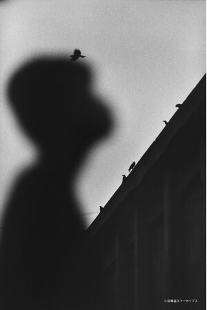 フジフイルム スクエア 写真歴史博物館 企画写真展 深瀬昌久写真展「洋子/遊戯」