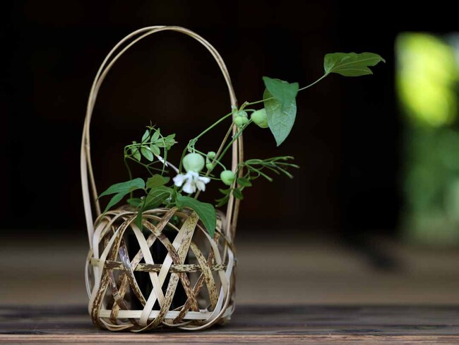 【限定体験】大阪万博で虎竹の魅力に触れる！竹虎職人の花籠ワークショップ実施