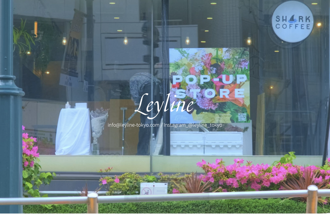 【花屋 Leyline（レイライン）】渋谷・公園通り「SHARK COFFEE」にて週2回のポップアップ営業を開始