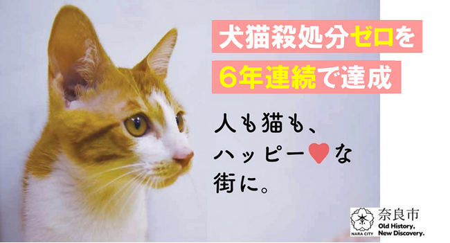 犬猫殺処分ゼロを6年連続で達成しました