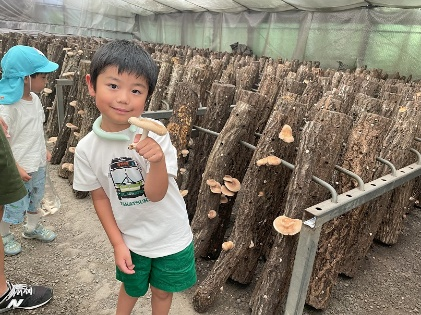 原木シイタケ狩りや平安歌人ゆかりの地を巡るツアーなど高槻の魅力満載
