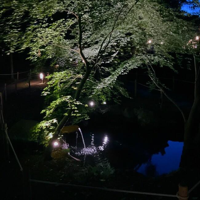 【東京都町田市】光と影が織りなす、静かで豊かな時間 鶴川香山園ライトアップを実施します
