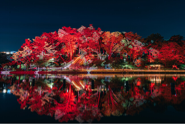 今年は「雨のサーカス団」がやってくる！８回目となるナイトアートフェスYohaS 2025が千葉公園にて開催